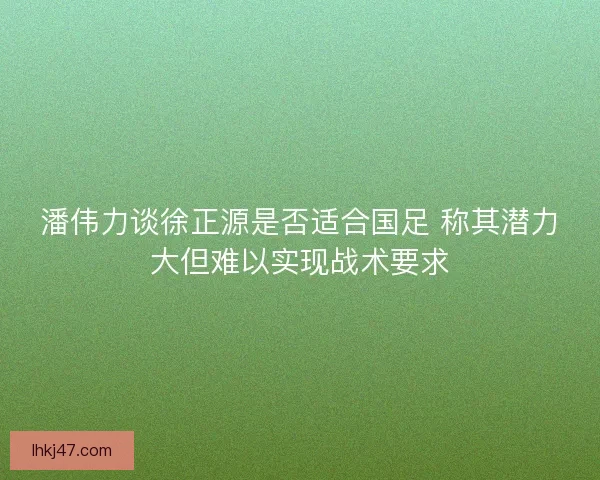 潘伟力谈徐正源是否适合国足 称其潜力大但难以实现战术要求